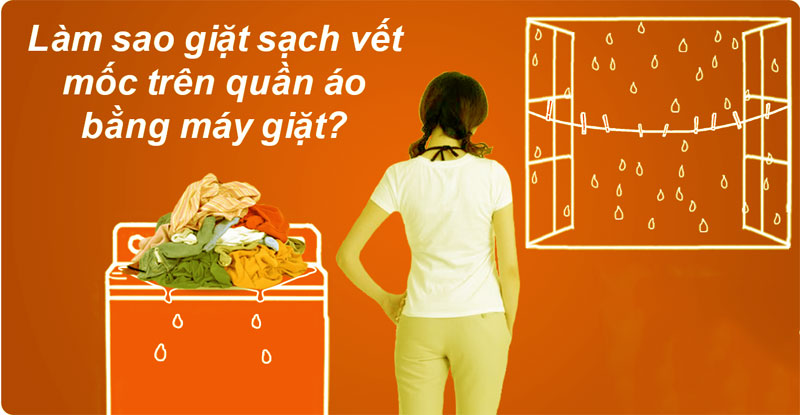 cách giặt vết mốc trên quần áo
